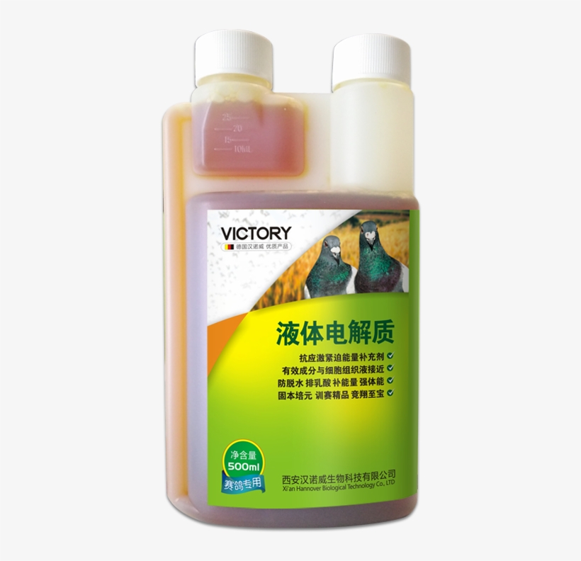 China Liquid Electrolytes, China Liquid Electrolytes - Insect, transparent png download