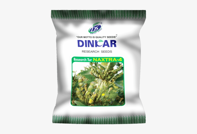 Pegion Pea - Attalea Speciosa, transparent png download