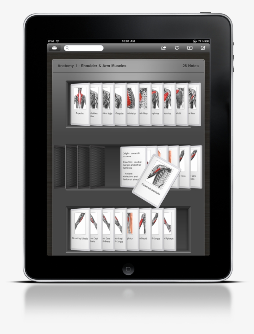 Apple Laptop Kwiqapps Subscribe Computer Inc - Ipad, transparent png download