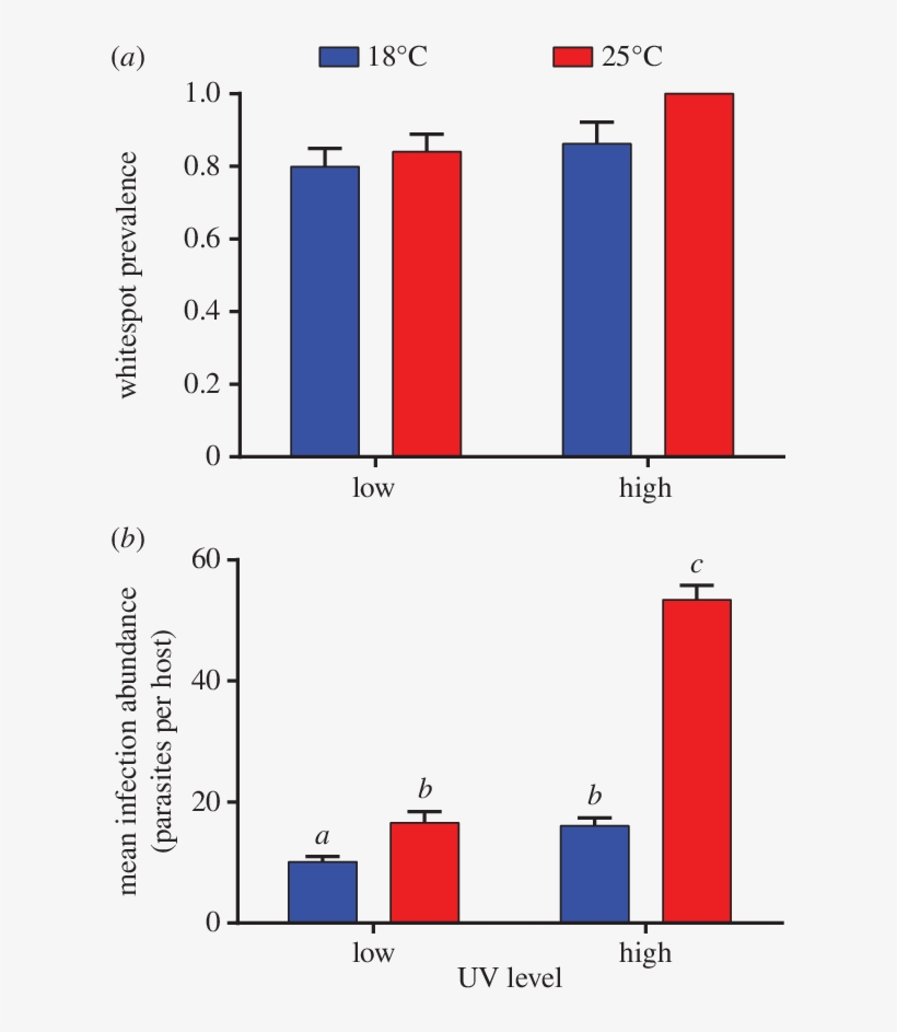 The Effects Of Uvb And Temperature On The Prevalence - Laryngoscopy, transparent png download
