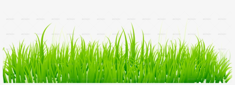 Conceptual Vectors - Green Grass White Background, transparent png download