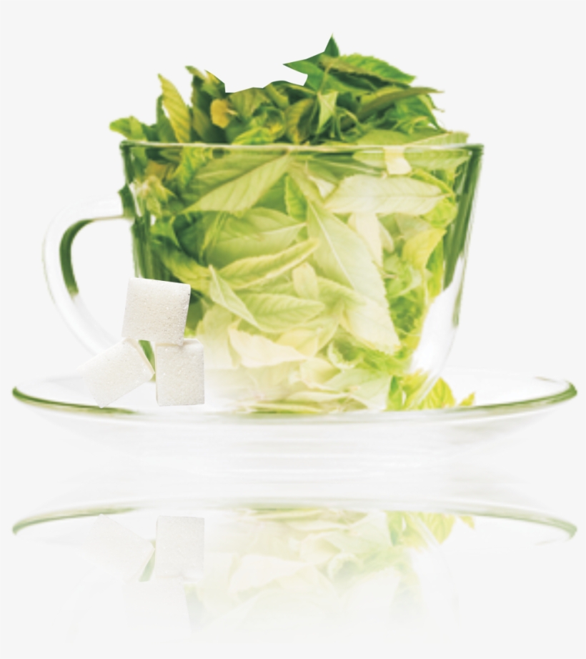 Stevia Green Tea, transparent png download