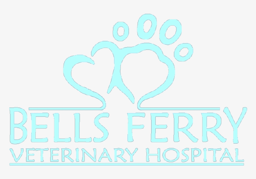 Bells Ferry Veterinary Hospital - Illustration, transparent png download
