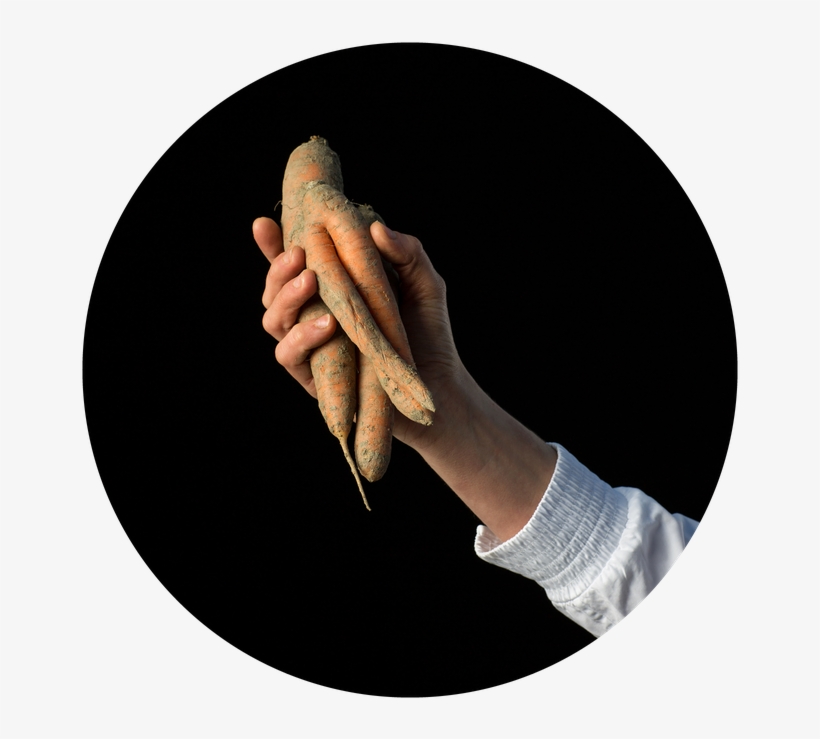 Next - Circle, transparent png download