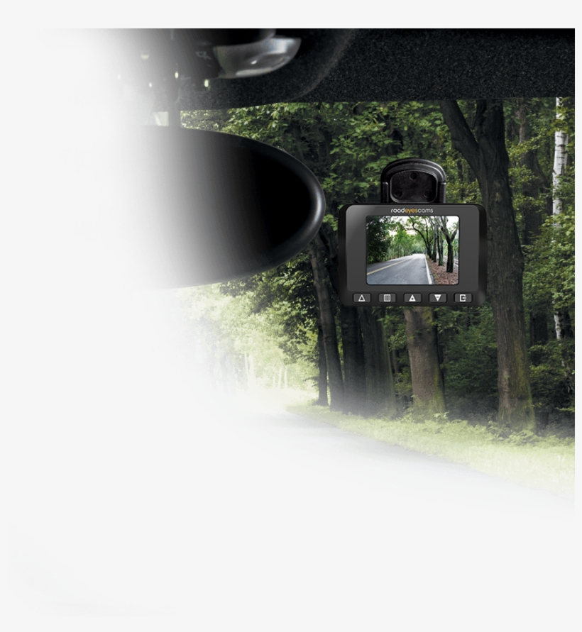 The Recneo Full Hd Is An Automatic And Autonomous On-board - Tree, transparent png download