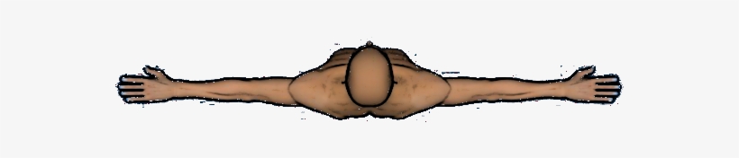 The - Illustration, transparent png download