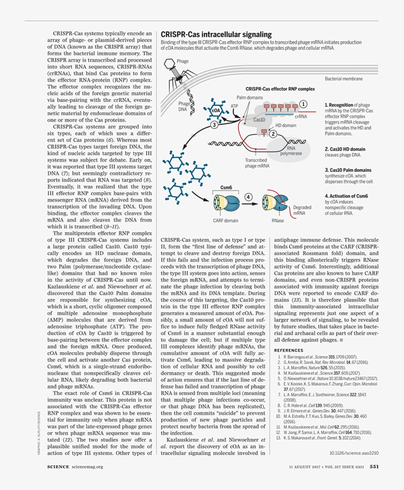Document, transparent png download