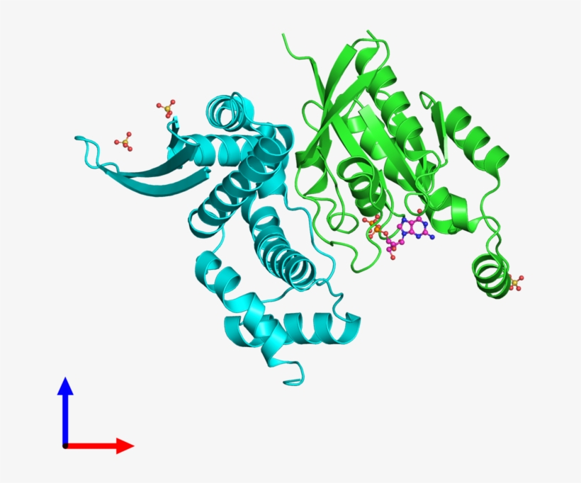 Pdb 3lxr Coloured By Chain And Viewed From The Front - Illustration, transparent png download