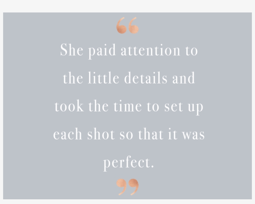 Adivas-quote - Elephant, transparent png download