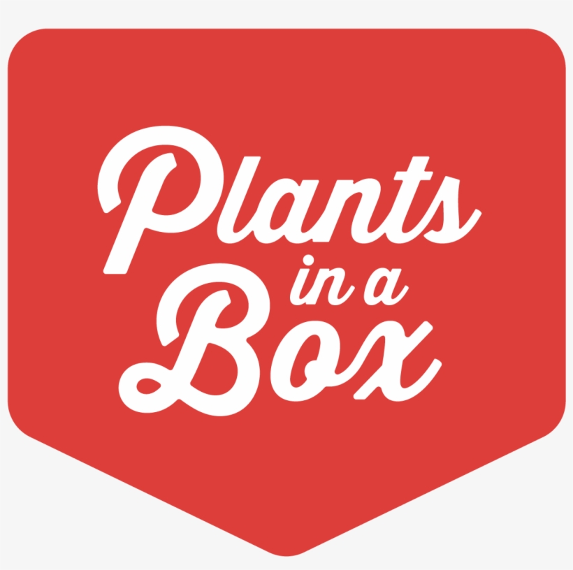 Digit10, transparent png download