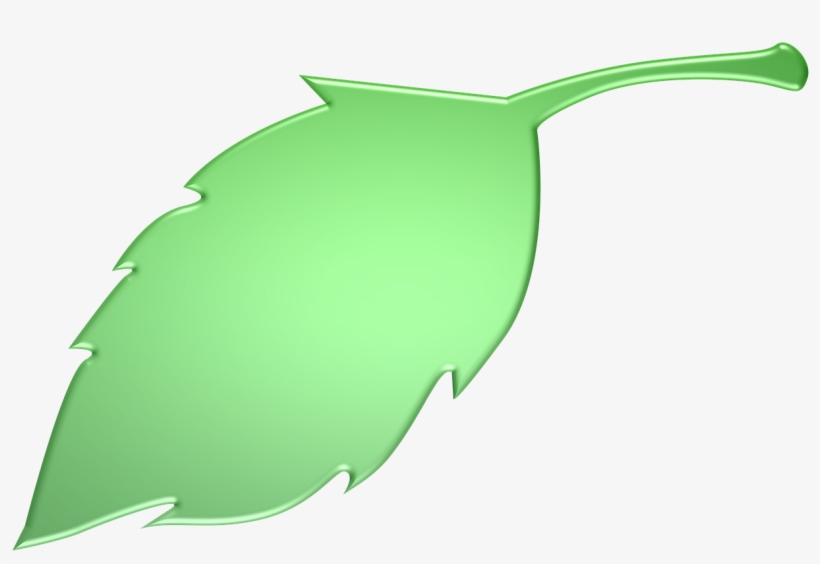 Leaf Green Green Leaves - Illustration, transparent png download