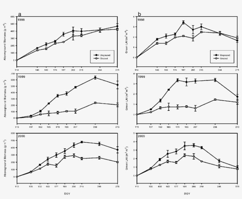 Aboveground Biomass And Green Leaf Area Index (lai) - Diagram, transparent png download