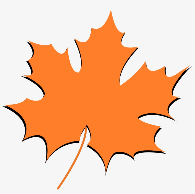 Autumn Leaf Image - Floral Design, transparent png download