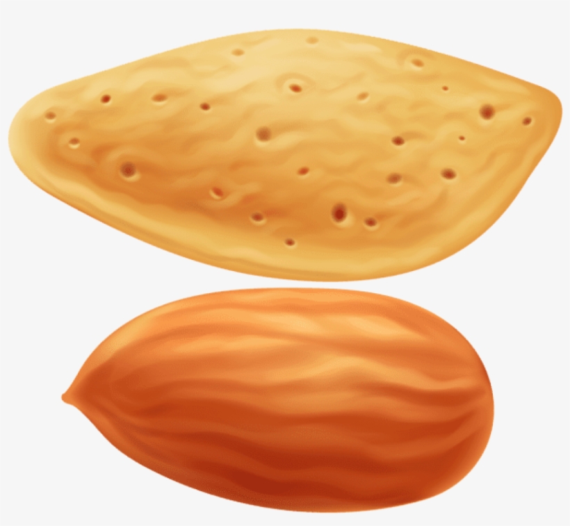 Free Png Download Almond Transparent Clipart Png Photo - Clipart Almonds Png, transparent png download