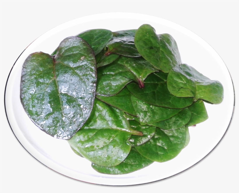 Picture15, transparent png download