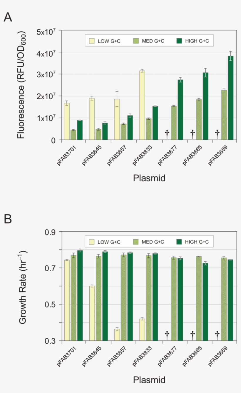 Gfp Genes Were Recoded At Synonymous Sites To Possess - Diagram, transparent png download