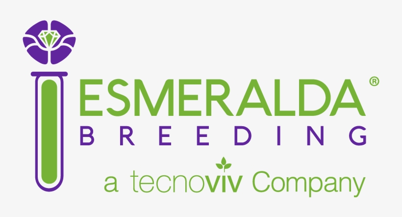 Bred And Designed By - Verint Systems, transparent png download