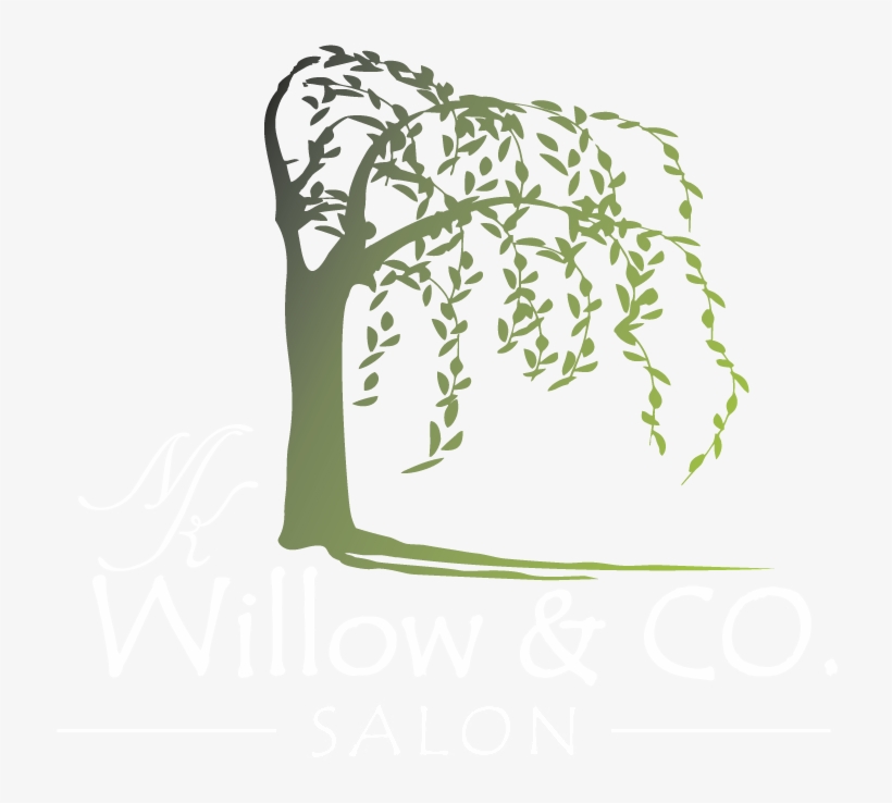Willow And Co - Calligraphy, transparent png download