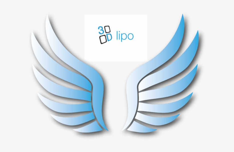 Book A Free 3d Lipo Consultation On The Dedicated 3d - 3d Lipo, transparent png download
