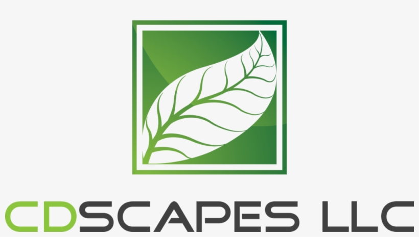 Cd Scapes Llc Logo, transparent png download