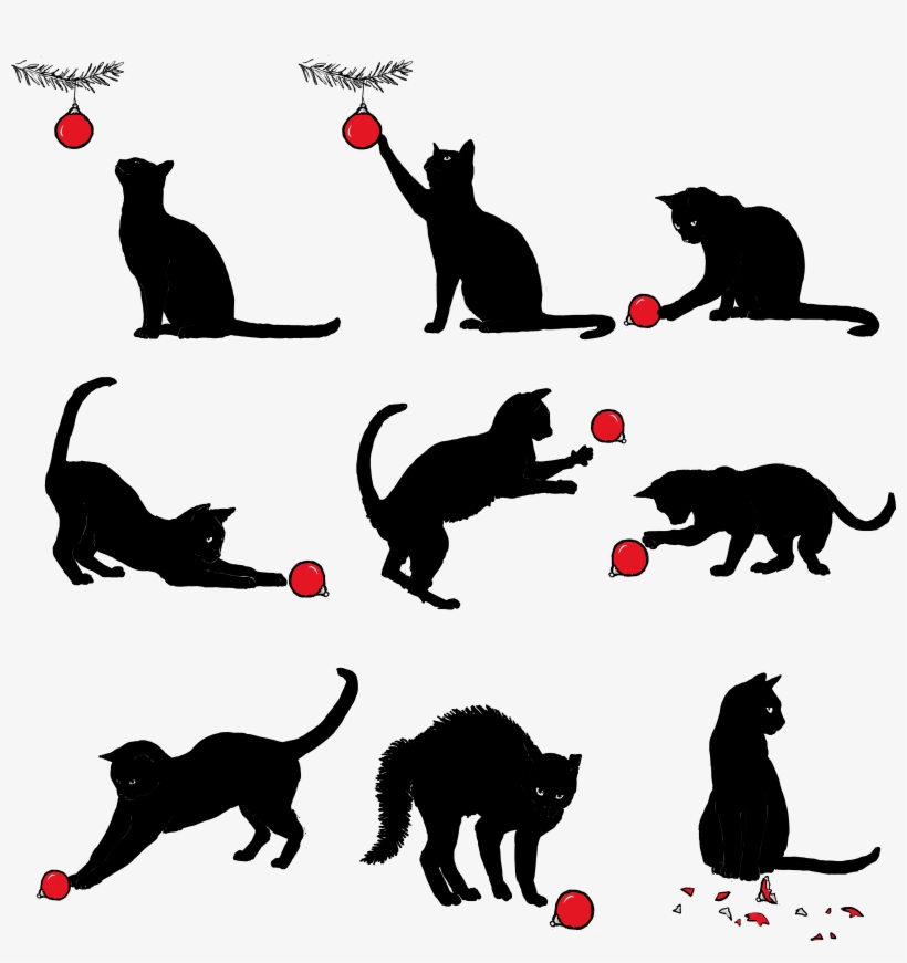 Reblogged From Bluebellofbakerstreet - Cat Grabs Treat, transparent png download