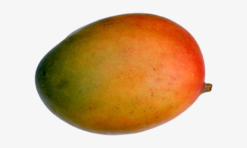 Mango Fruit, Fruit Recipes, Orange, Fruit Food, Twitter, - Mango Fruit, transparent png download