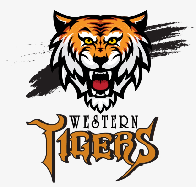 Team Owner - Kamil Khan - Blog, transparent png download