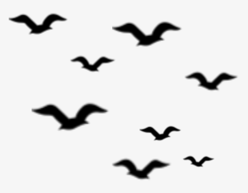 Ftestickers Birds Silhouette Flock Bird Animal - Flock, transparent png download