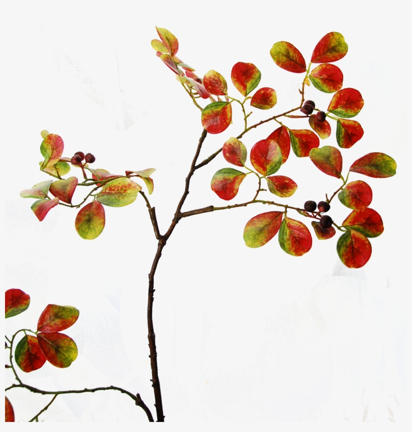 Autumn Foliage - Twig, transparent png download