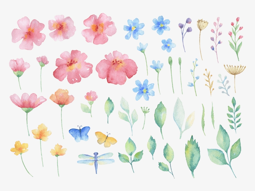 Wreath Bouquet Foliage Elements K307 - Malva, transparent png download