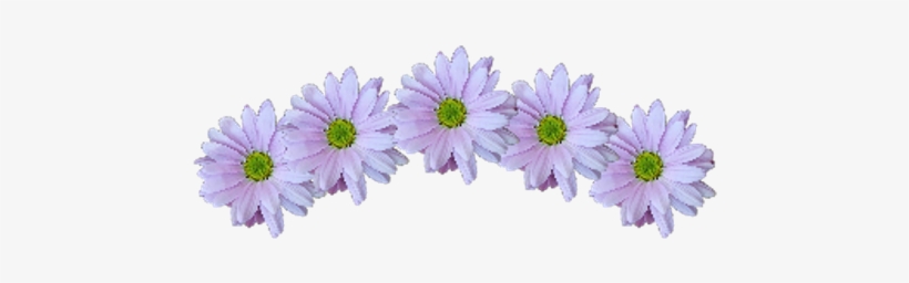 Crown Sticker - African Daisy, transparent png download