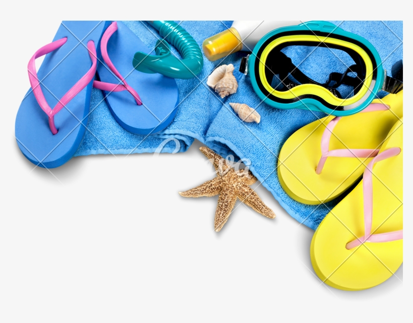 Flip-flops, Towel, Sun Cream, Diving Mask And Seashells - Marine Invertebrates, transparent png download