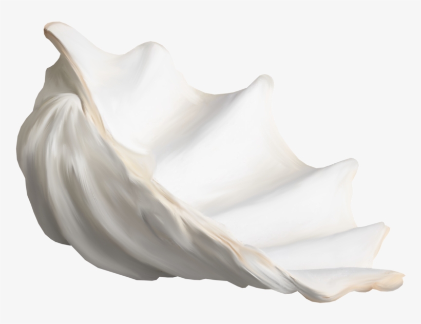 Фотки Shell Animals, Nautical, Scrapbook, Water, Sea - Conch, transparent png download