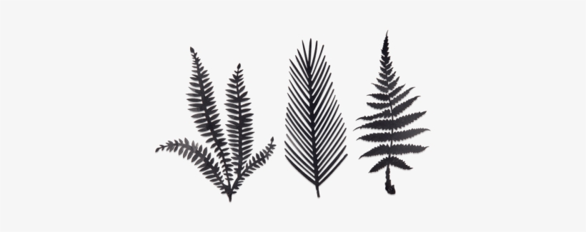 Ferns - Kiko Brass Foliage Artwork Brass, transparent png download