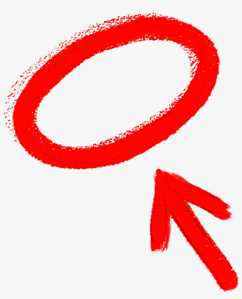 Circle Sticker - Circle, transparent png download