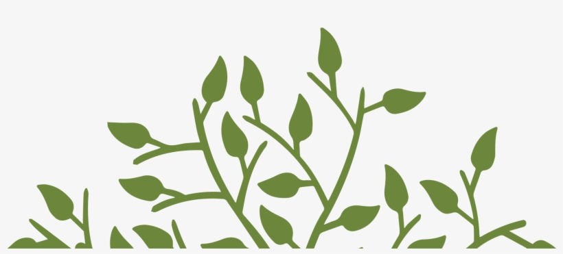 Got A Question - Tree Of Life And The Tree, transparent png download