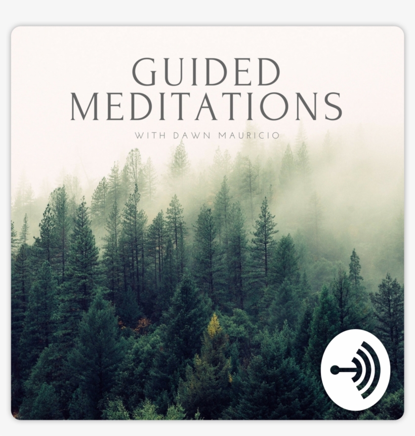 Tree Forest Transparent, transparent png download