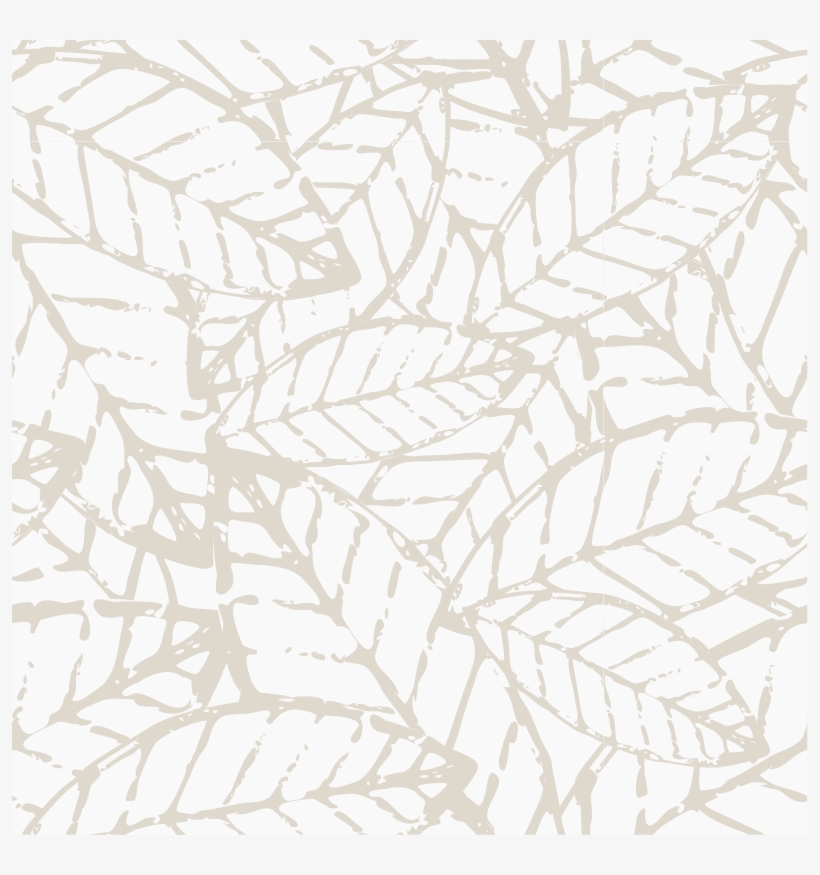 Find Out What It Means To Us, transparent png download