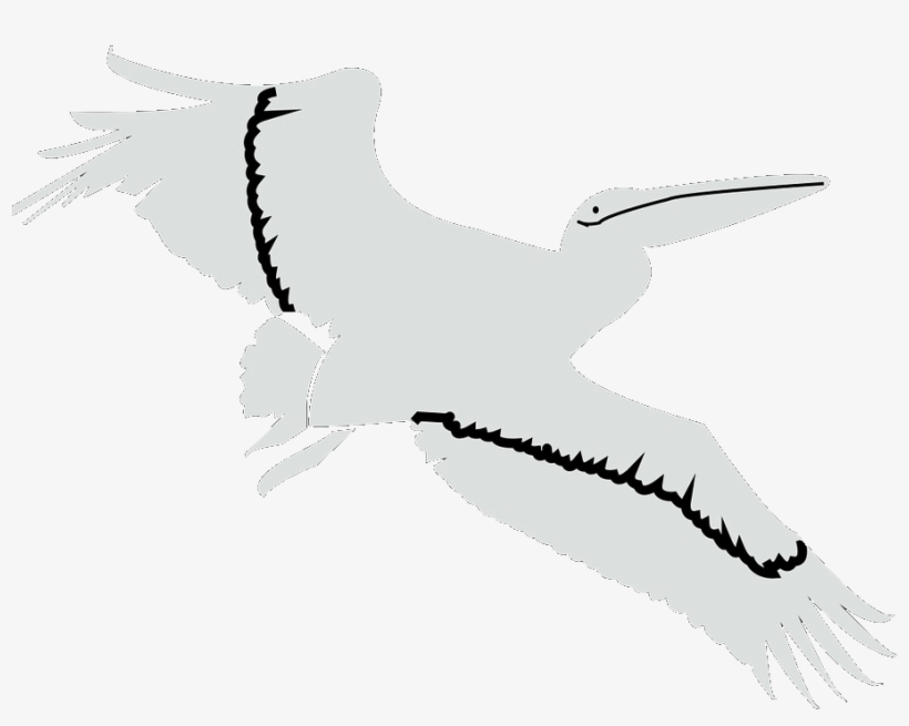 Flying Pelican - White Stork, transparent png download