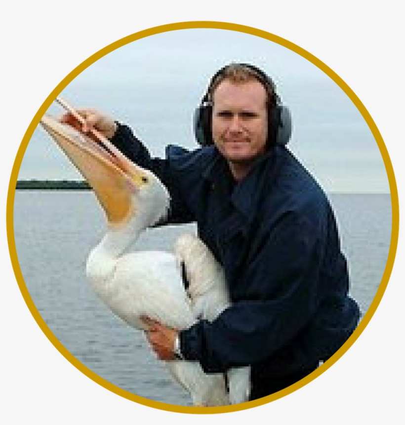 Christopher Boykin - Pelican, transparent png download