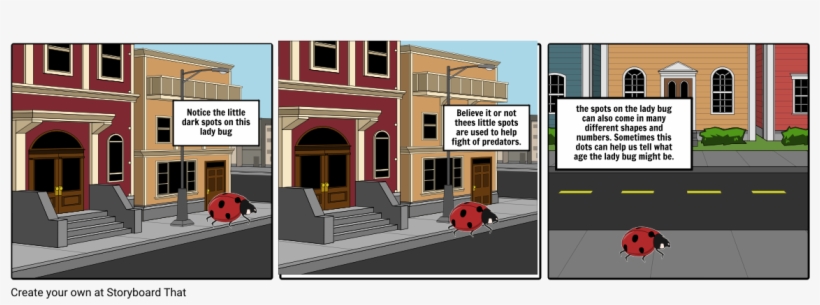 Lady Bug - Albany Plan, transparent png download