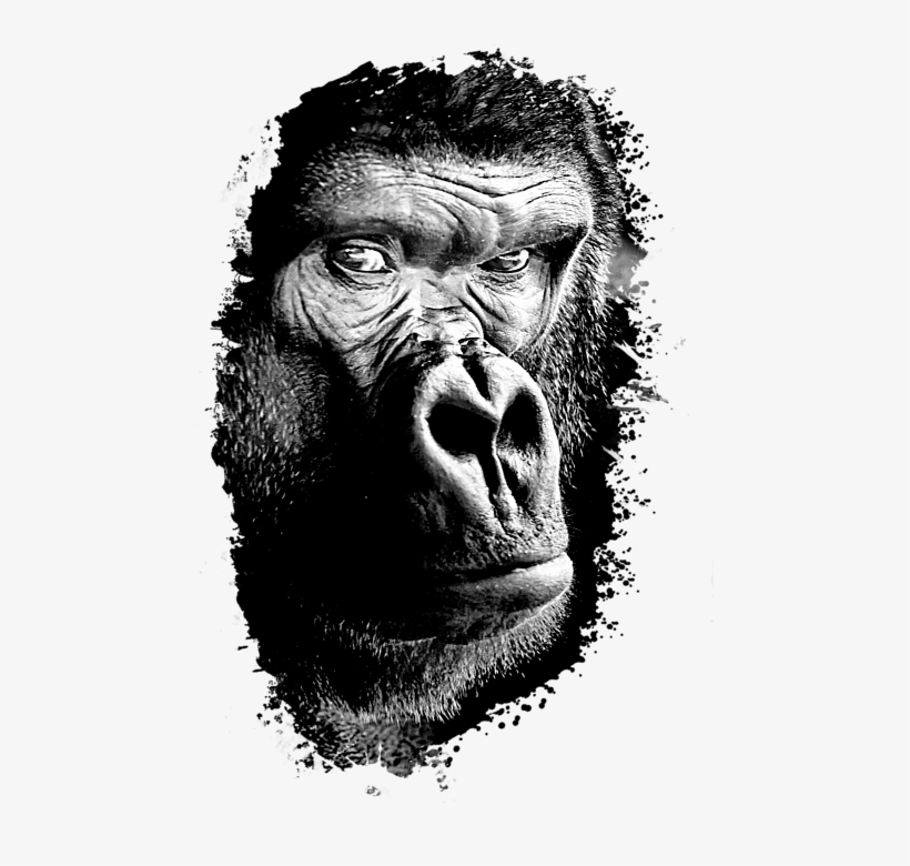 Click And Drag To Re-position The Image, If Desired - Black And Grey Gorilla, transparent png download