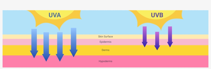 Half Way Down Uv Awareness, transparent png download