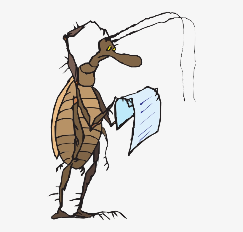 Vector - Cockroach Reading A Book, transparent png download