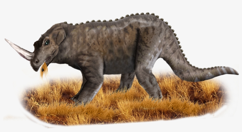 Top Lesser Known Cryptids From Around The Globe, transparent png download