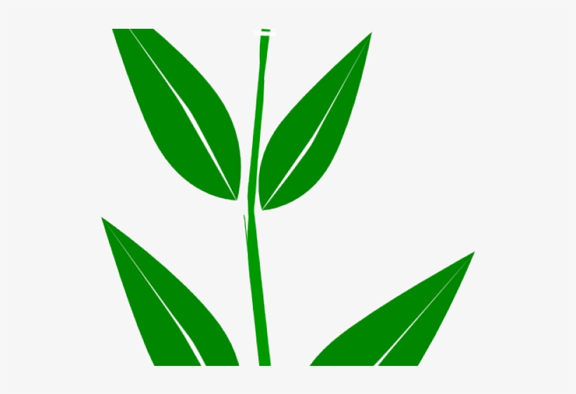 Clip Art, transparent png download