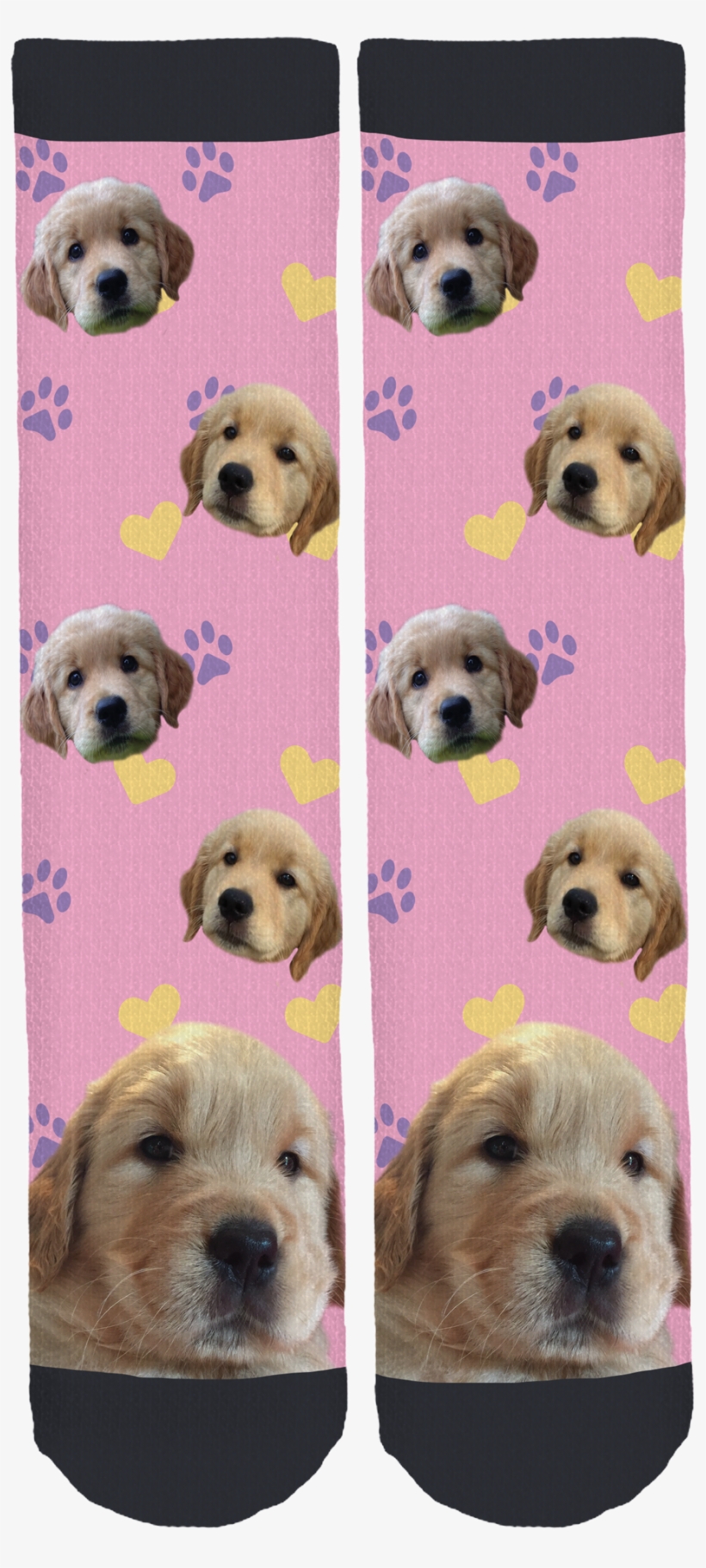 Labrador Retriever, transparent png download