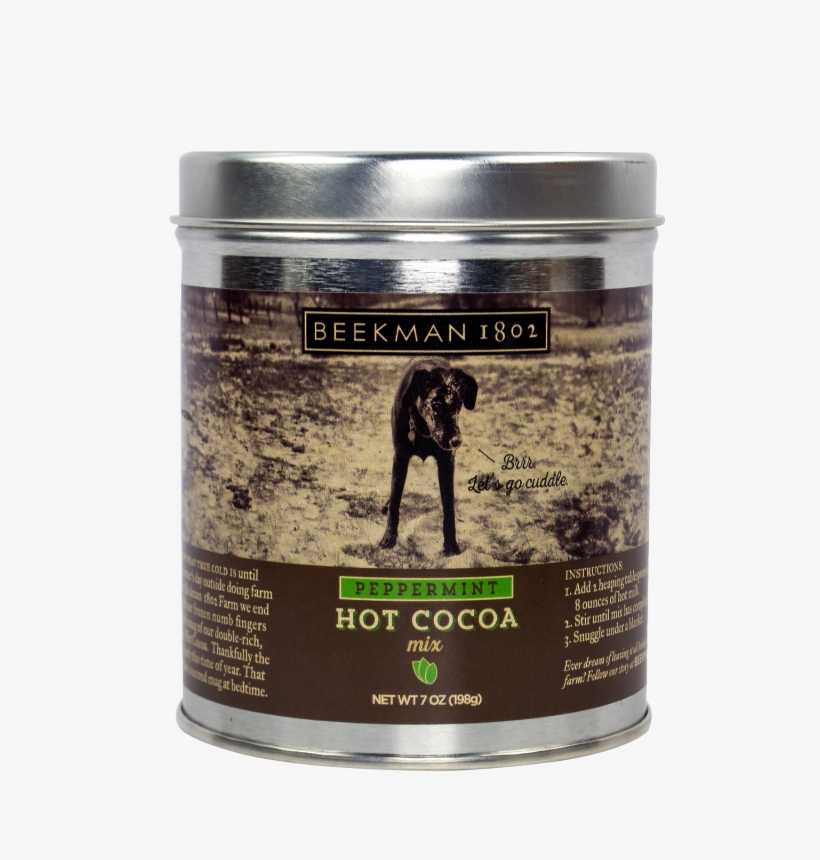 Stallion, transparent png download