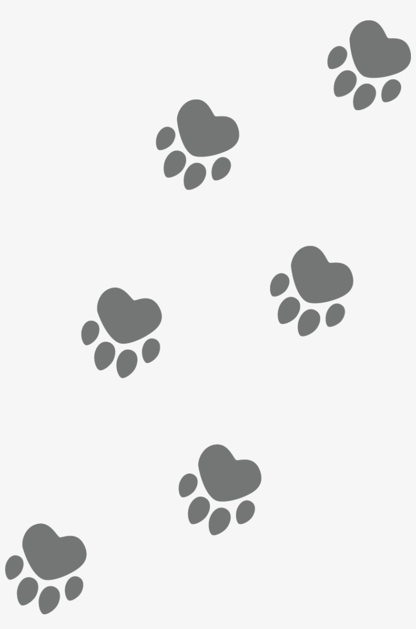 For Regular Dog Walks We Will Make An Individual Care - Illustration, transparent png download