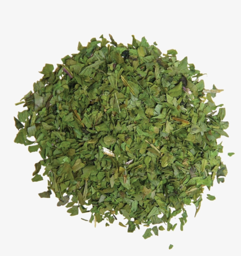 Coriander [cilantro] - Grass, transparent png download